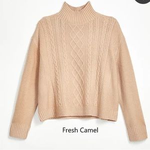 Loft turtleneck cable sweater